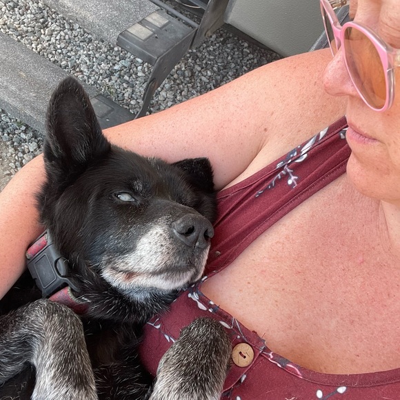 Meet your Posher, Janessa - Picture 11 of 11